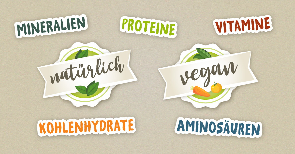 Stilisierte Schrift: Proteine, Kohlenhydrate, Aminosäure, Vitamine, Mineralien, natürlich, vegan